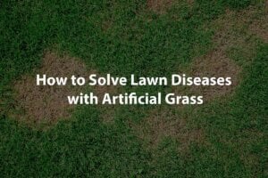 solve lawn disease artificial grass