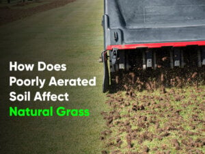 Soil Aeration