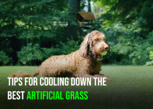 Tips for Cooling Down the Best Artificial Grass