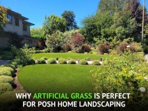 Why Artificial Grass Is Perfect for Posh Home Landscaping-amazing 1