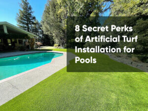 Artificial Turf Pool