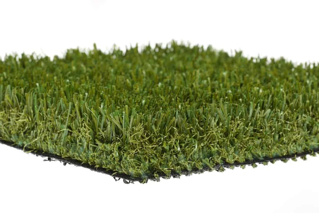 OliveLush