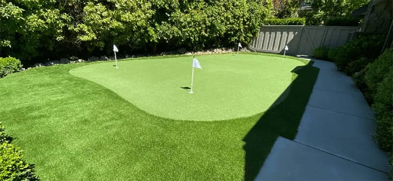 putting green lawn turf