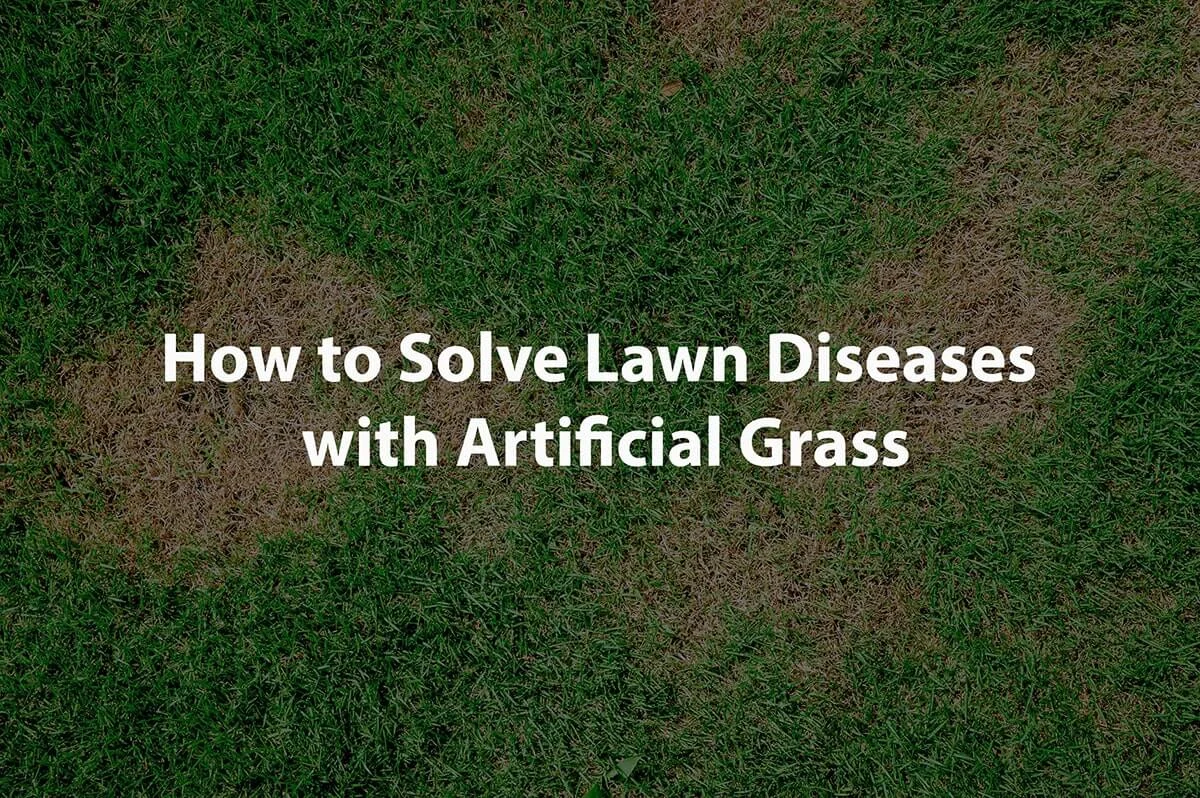solve lawn disease artificial grass