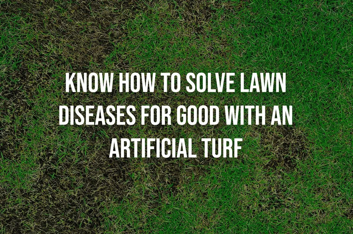 Solve Lawn Diseases for Good With an Artificial Turf Installation in San Antonio, TX