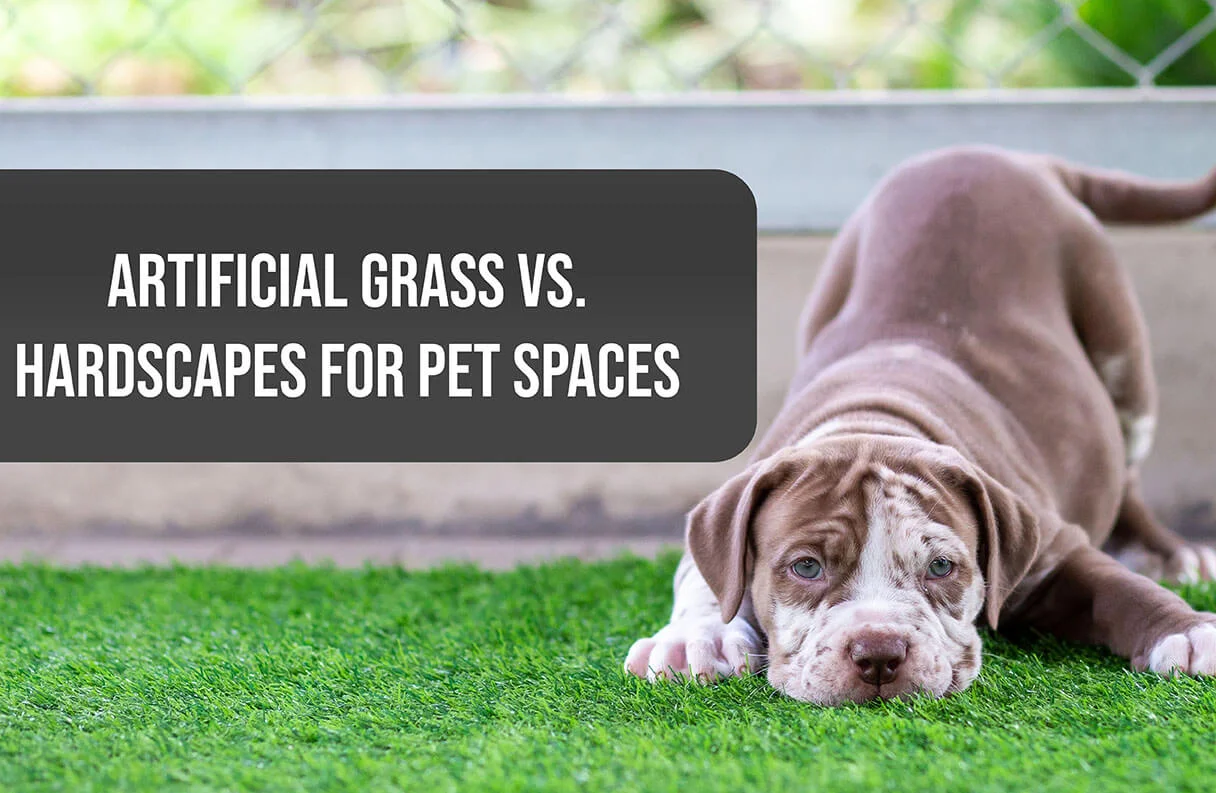 Artificial Grass in San Antonio, TX vs. Hardscapes for Pet Spaces