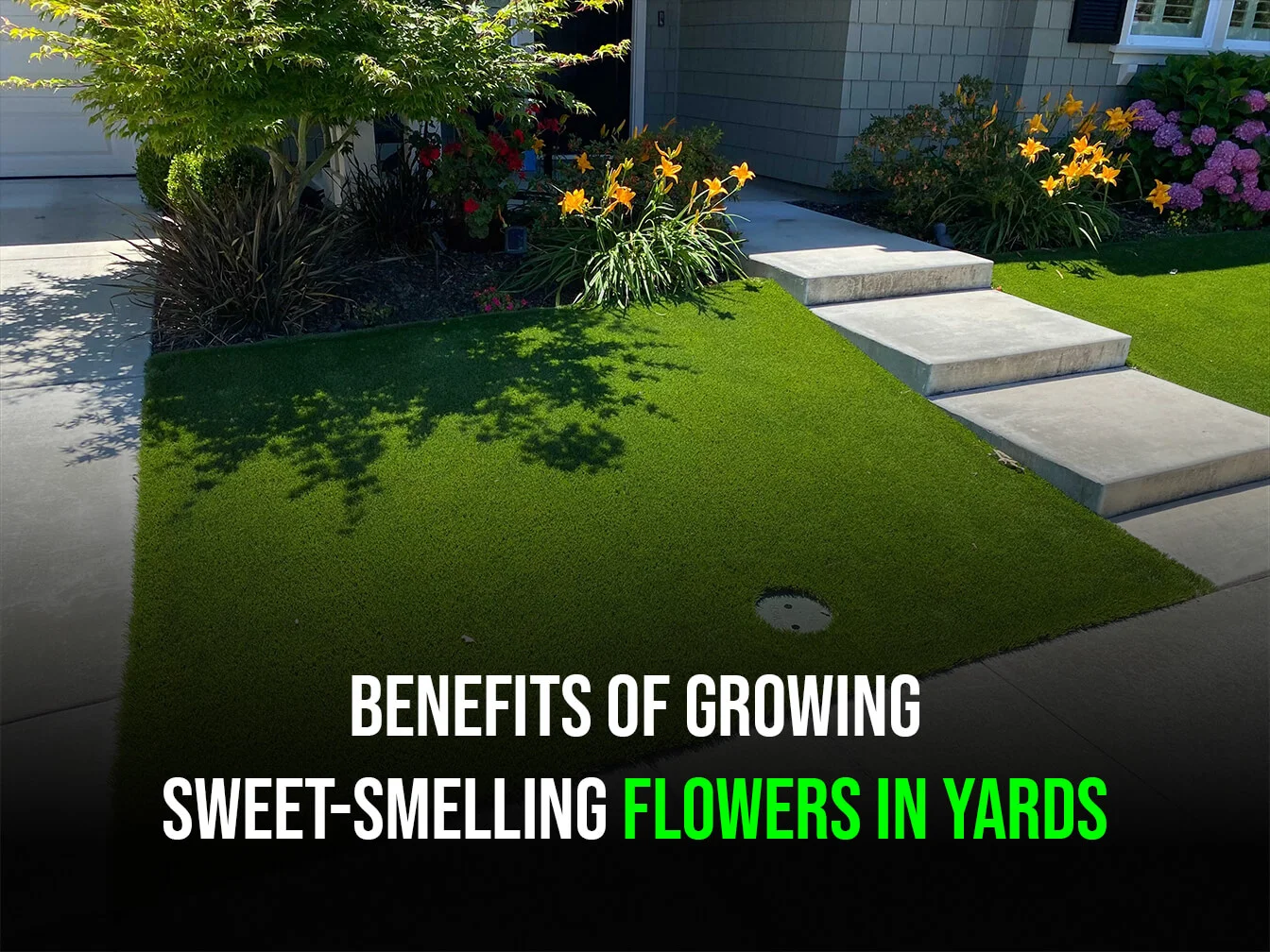 Best Fragrant Flowers for the Best Artificial Grass in San Antonio, TX