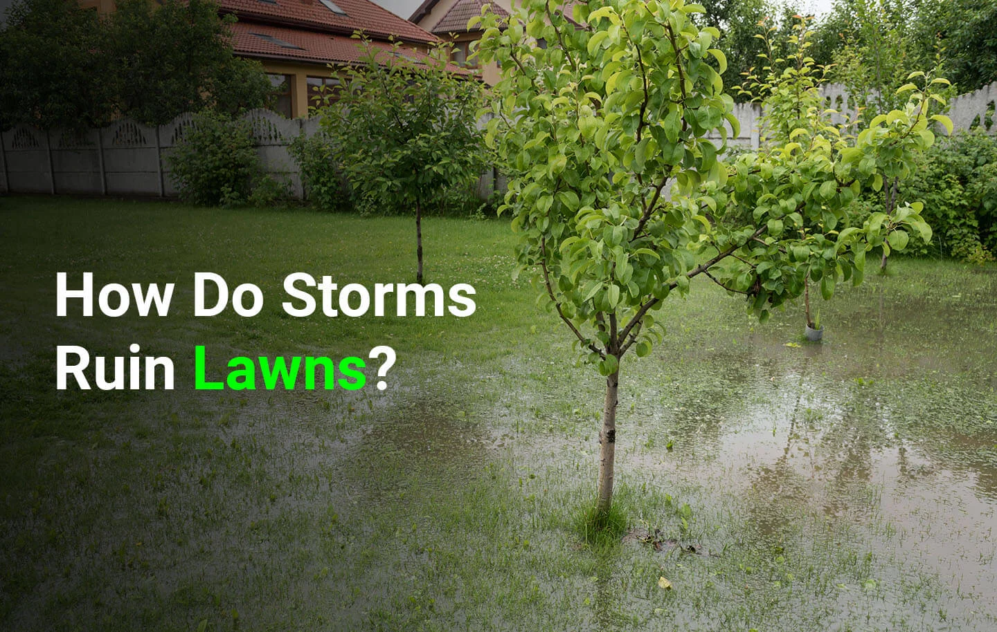 The Best Artificial Grass in San Antonio, TX vs. Storm Damage