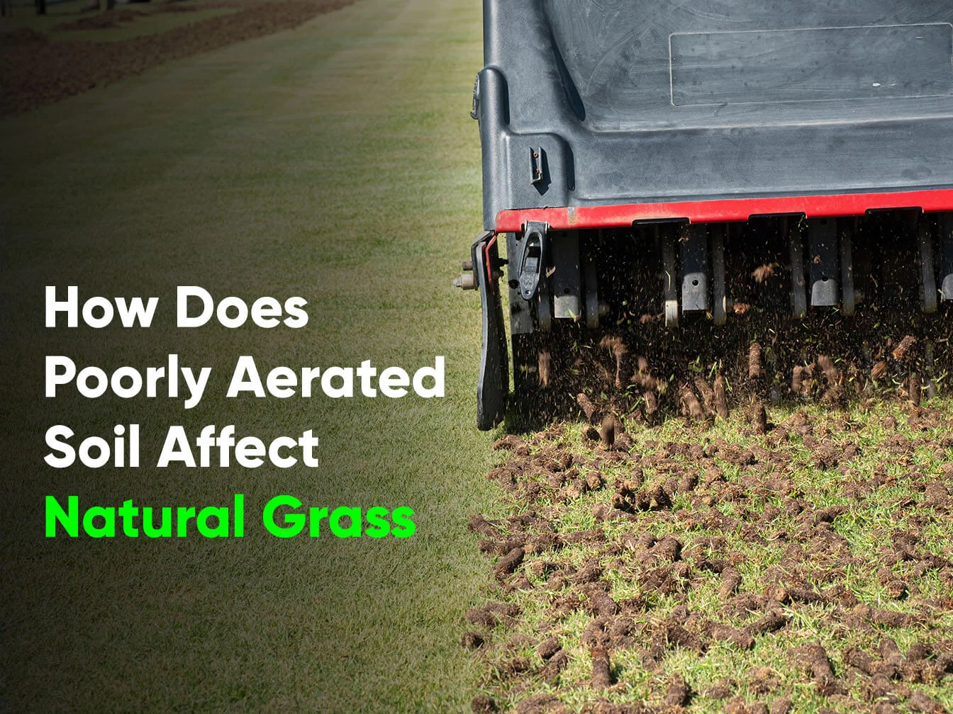 How Does Poorly Aerated Soil Affect Natural Grass-Amazing1