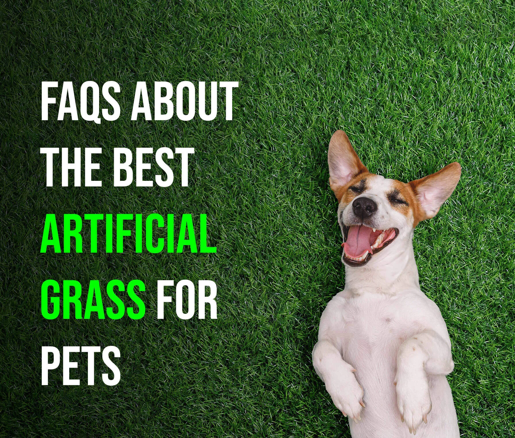 FAQs About the Best Artificial Grass For Pets-amazing1
