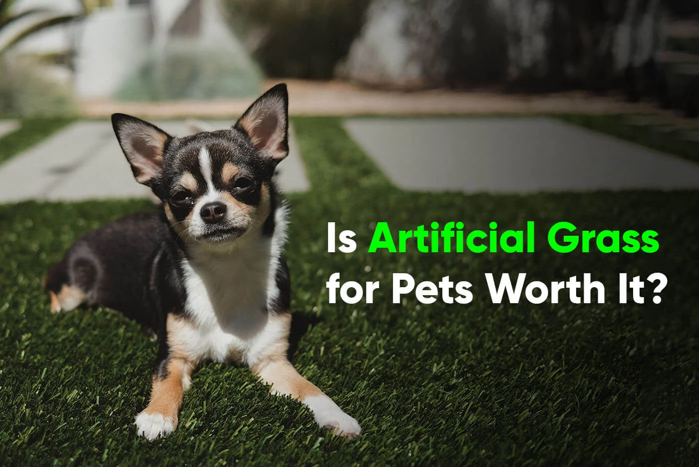 Is the Best Artificial Grass for Pets Worth It - amz 2