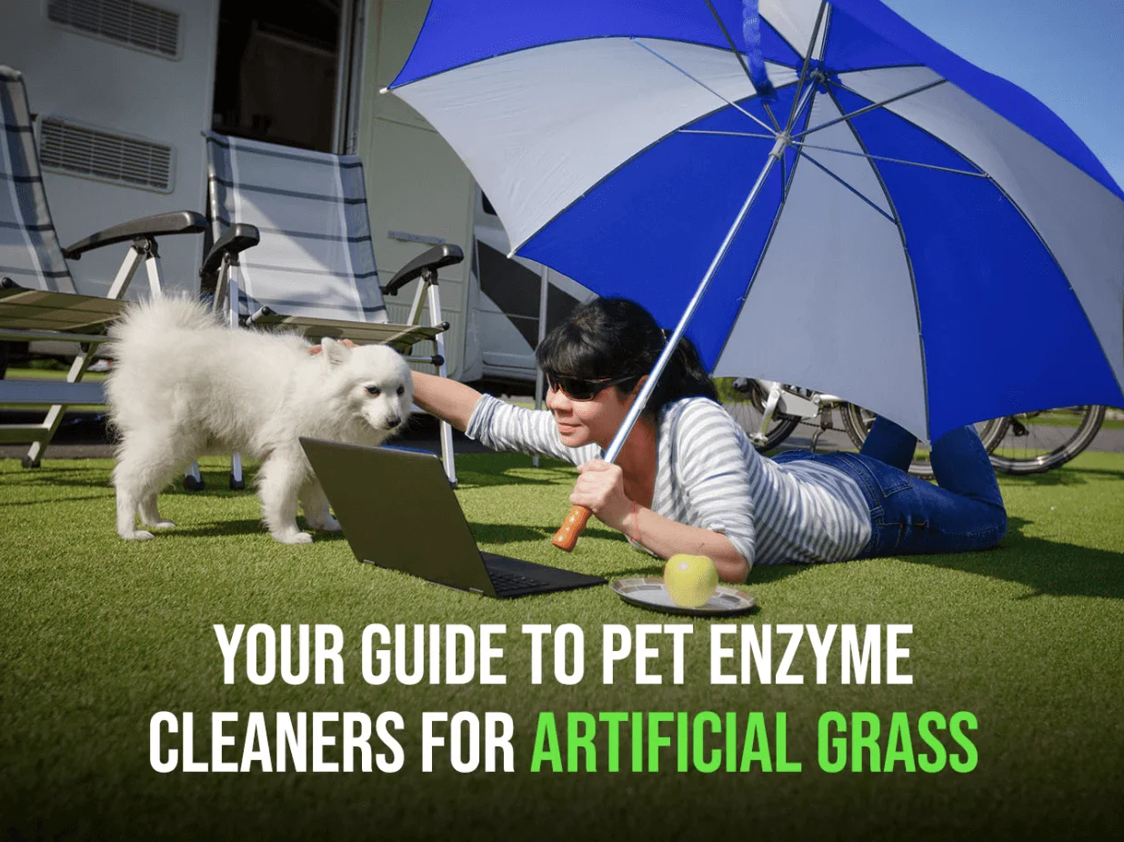 artificial grass cleaners