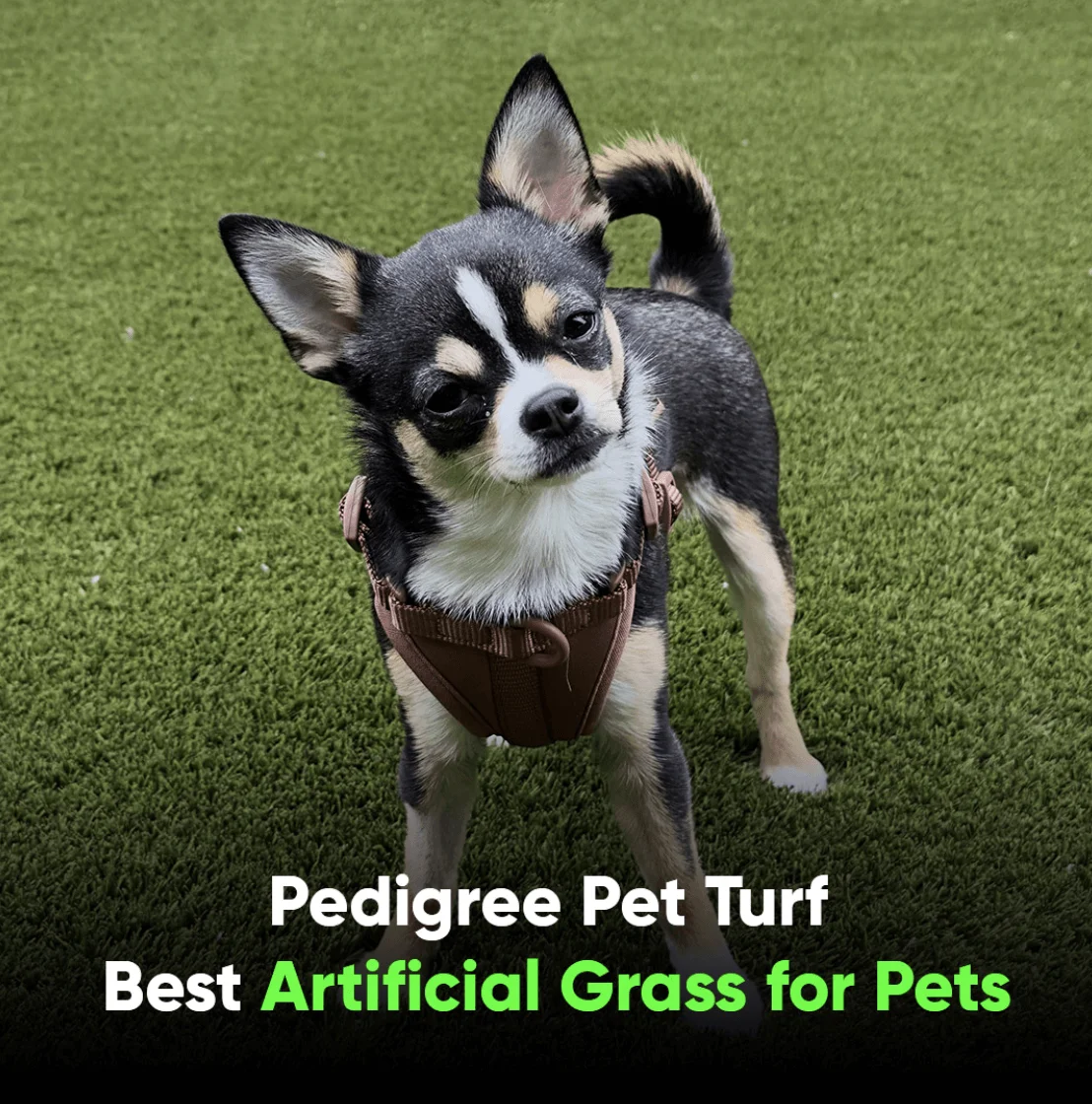 artificial grass pets
