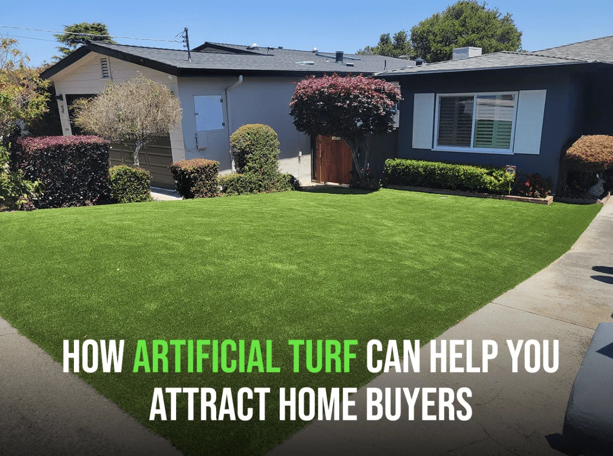 artificial turf home buyers