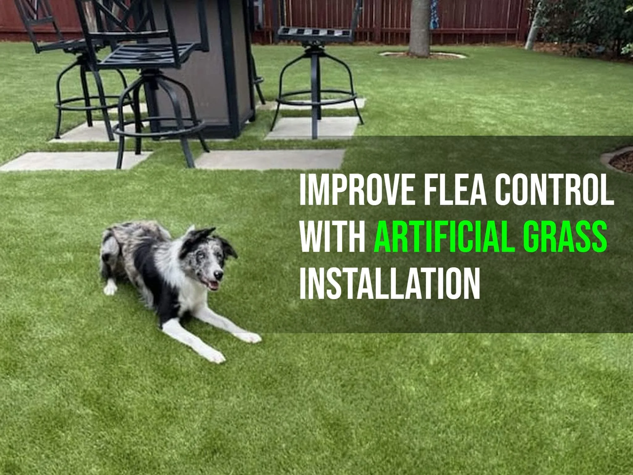 Improve Flea Control with Artificial Grass Installation - amazingturflawn 2