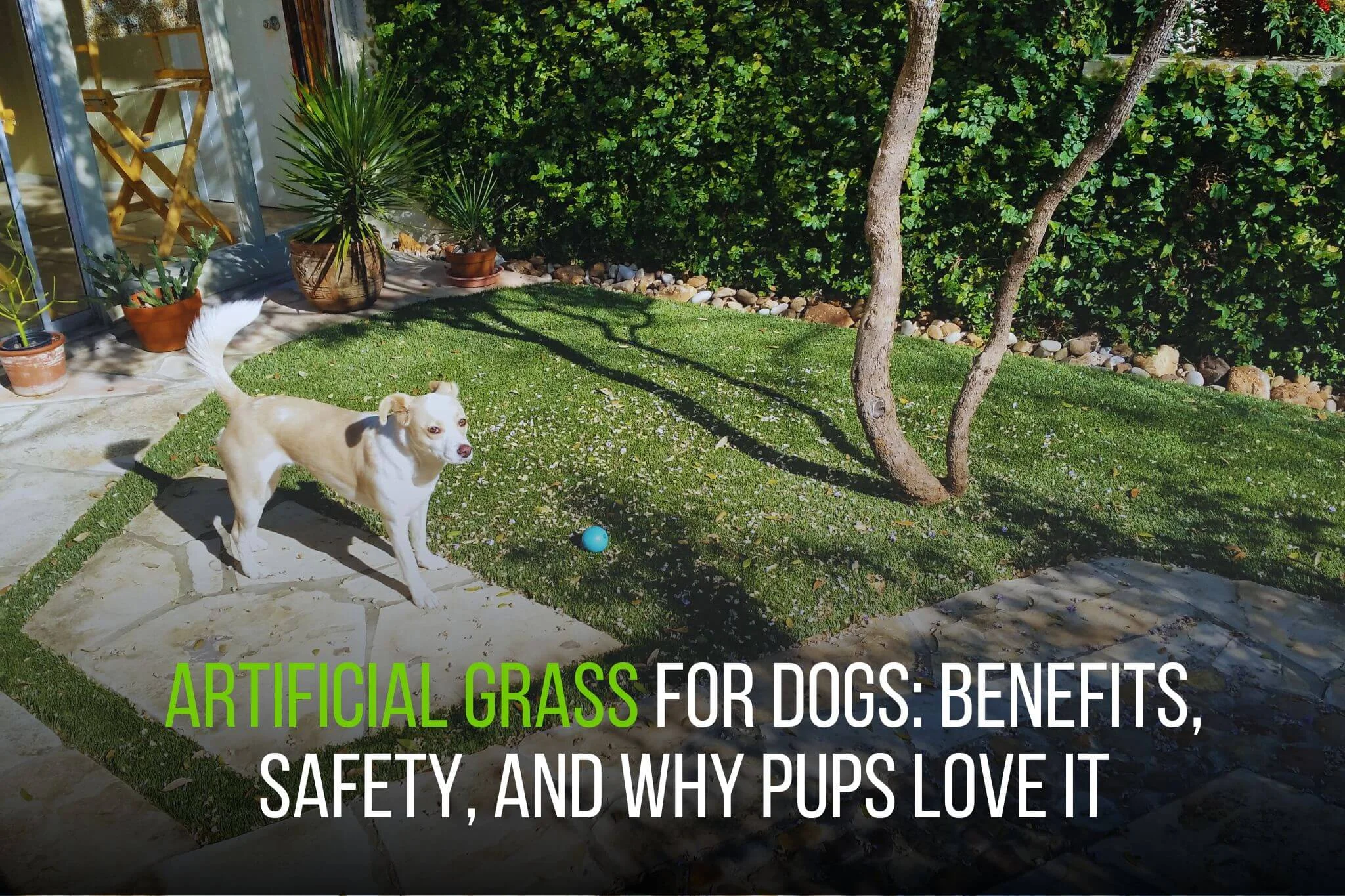 Artificial Grass for Dogs_ Benefits, Safety, and Why Pups Love It - amazing 2