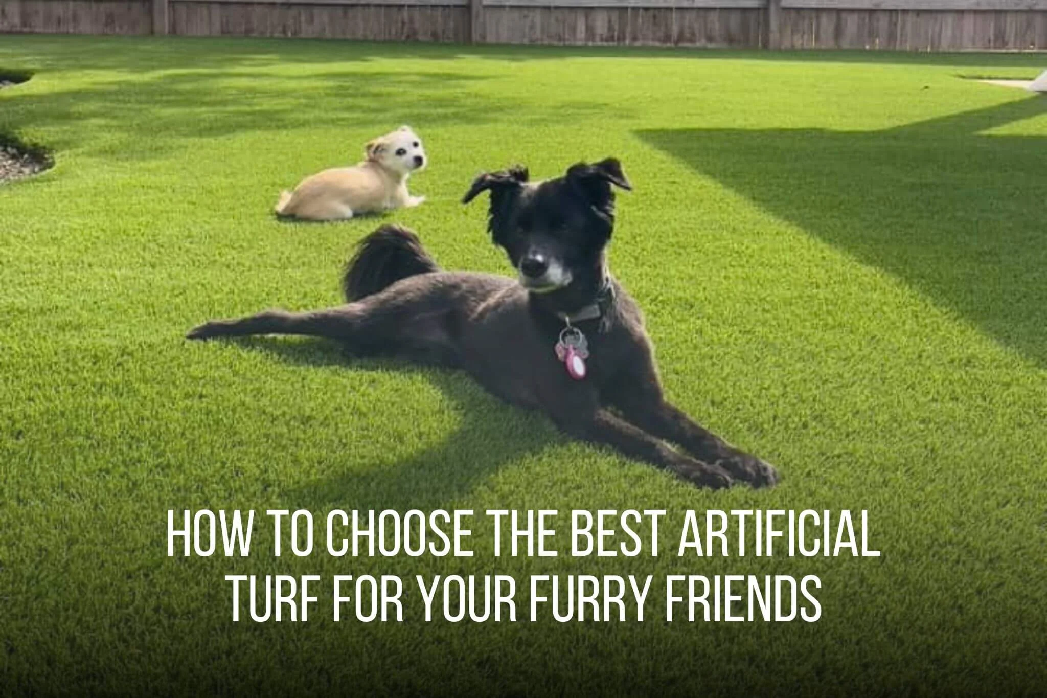 How to Choose the Best Artificial Turf for Your Furry Friends - amazing 2
