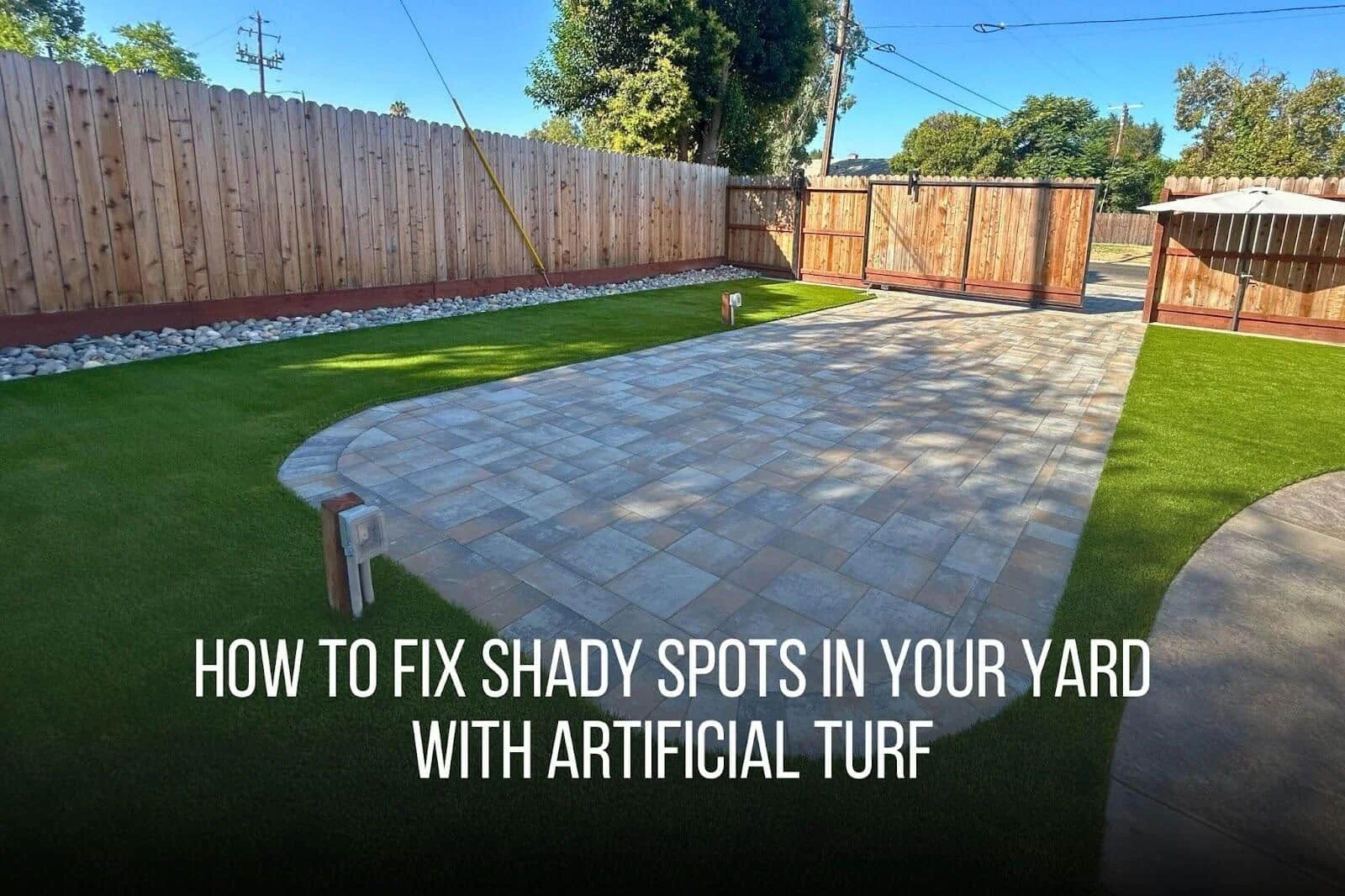 How One Turf Type Transformed A Dead Side Yard Forever