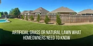 Large backyard with artificial grass lawn, wooden privacy fence, row of small trees, and a swimming pool area under clear blue sky.